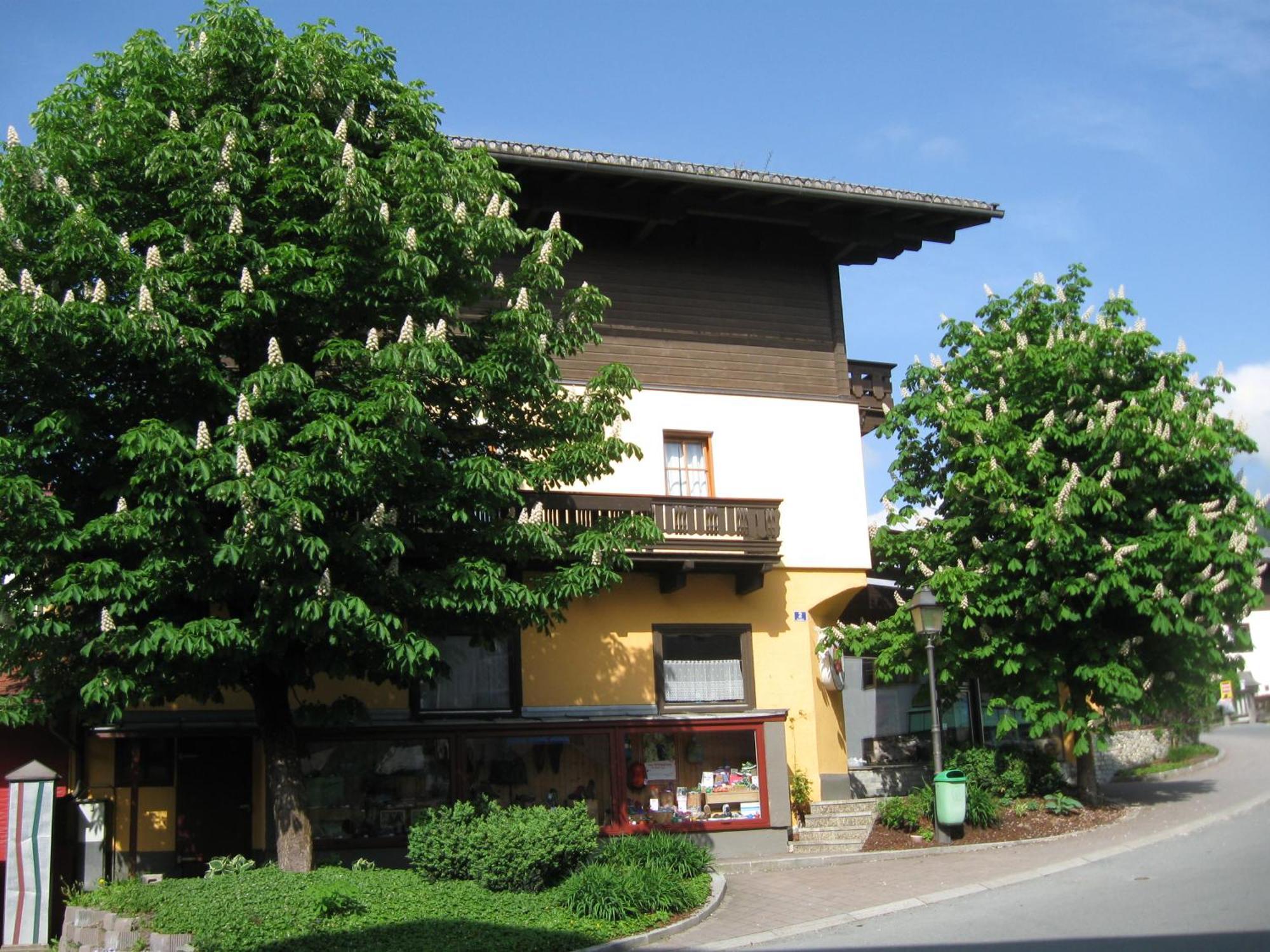 Haus Am Dorfplatz Apartment Uttendorf Exterior photo